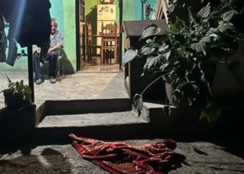 policía-de-santiago-investigado-matar-a-un-perro