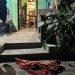 policía-de-santiago-investigado-matar-a-un-perro