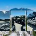 estrategia-ESCUDO-reducción-de-homicidios-en-monterrey