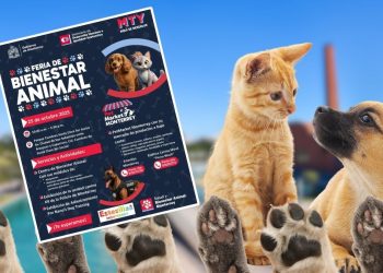 ESTERILIZACIÓN-GRATIS-EN-MONTERREY-FERIA-ANIMAL