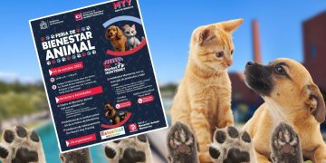 ESTERILIZACIÓN-GRATIS-EN-MONTERREY-FERIA-ANIMAL