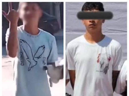 Cae el presunto agresor de la gatita Julieta en Escobedo